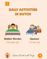 The Dutch Minds